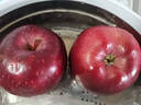 京鲜生 甘肃天水花牛苹果 又大又红 6粒尝鲜装 单果160-190g 生鲜水果 实拍图
