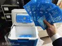 Ice trip保温箱母乳冷藏医用胰岛素户外保温箱6L 实拍图