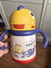 babycare儿童保温杯婴儿宝宝吸管水杯霸王龙不锈钢保温杯300ml-新旧款混发 实拍图