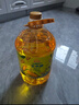 金龙鱼 食用油 非转基因 物理压榨玉米油6.18L（蕴含植物甾醇） 实拍图