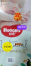 好奇（Huggies）森林密语纸尿裤S56片(4-8kg)尿不湿【清透纯净】 实拍图