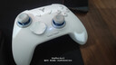 飞智冰原狼4多模版无线游戏手柄 类xbox 力调节摇杆双切扳机 switch电脑PC手机steam体感NS 仁王3 实拍图