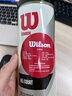 威尔胜（Wilson）Titanium专业训练网球 3颗罐装 稳定耐用 高海拔多场地适用 WRT1021（新旧包装随机发货，球号随机）- 1筒 实拍图