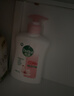 滴露（Dettol）洗手液滋润250g 儿童洗手液抑菌消毒宝宝 水润补充装尝鲜 实拍图