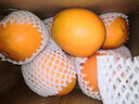 京鲜生 当季鲜橙红黄双拼10斤 单果180g起  好事橙双水果橙子礼盒 实拍图
