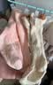 五朵棉6双婴儿袜子春夏宝宝袜子A类儿童棉袜透气无骨提耳中筒袜 实拍图