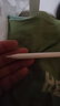 Apple/苹果 Pencil Pro 磁吸触控笔手写笔苹果笔电容笔书写绘画ipad笔 适用于iPad Pro/Air/mini机型 实拍图