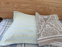 洁丽雅（Grace）枕头枕芯 磨毛镶边绗缝苦荞麦保健枕 荞麦枕45*70cm 单只装 实拍图