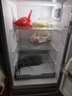 上菱183升两门小型冰箱小户型家用出租房用 出租屋办公室宿舍双门双开门电冰箱以旧换新BCD-183D 实拍图