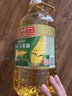 金龙鱼 食用油 非转基因 压榨 一级 纯正玉米油4L（新老包装随机发货） 实拍图