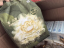 babycare金山茶花婴儿纸尿裤mini装L20片(9-14kg)尿不湿透气【新老混发】 实拍图