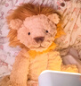 Jellycat波浪毛狮子动物毛绒玩偶公仔安抚潮玩娃娃送礼生日礼物 波浪毛狮子 Medium 实拍图