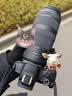 佳能（Canon）【官方旗舰】RF100-400mm F5.6-8 IS USM 轻巧便携、覆盖400mm焦距的超远摄变焦镜头 实拍图