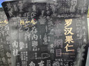 陈一凡 黑枸杞 精选青海柴达木原产枸杞子中果免洗搭桑葚泡水养生茶120g 实拍图