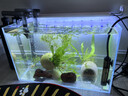 YEE超白鱼缸桌面客厅生态斗金鱼乌龟缸造景小型水草养鱼玻璃裸缸40cm 实拍图