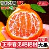 京地达正宗四川不知火丑橘桔子净重5斤单果80mm+新鲜丑橘子水果源头直发 实拍图