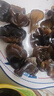 十月稻田 东北黑木耳 150g 肉厚无根 菌菇 黑龙江东宁特产 火锅炒菜煲汤 实拍图