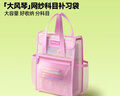 猫太子网纱补习袋加厚手提袋大容量作业文件袋翻盖式书包初中小学生考试专用寒假补课收纳袋分科目补习袋 实拍图