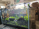 BESSN贝森金晶五线汽车级超白缸玻璃鱼缸客厅裸缸家用水草溪流缸 60*30*35cm6mm厚金晶五线超白送货上楼 实拍图