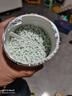 修正花乐多 *硫酸亚铁花肥料喜酸性植物黄叶掉叶养花卉绿植补铁水溶肥500g 实拍图