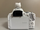 佳能（Canon） EOS 200D二代 200d2代单反相机入门单反vlog迷你单反数码照相机 200DII白色18-55 STM套机【入门家用】 套餐一【128G内存卡~抗震防雨包~Vlog套装】 实拍图