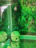 老漁匠鱼缸气饼 高密度气孔 4cm*2 实拍图