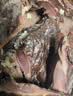 白市驿重庆特产板鸭500g彩袋传统烟熏腊味中华老字号非遗头碗菜双11送礼 实拍图