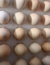 京鲜生 无抗保洁鲜鸡蛋30枚/盒 健康轻食 礼盒送礼 1.5kg/盒 源头直发 实拍图