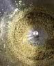 大海边 碎菜机碎草机喂鸡鸭鹅猪养殖家用多功能电动瓜果蔬菜切菜打菜机 6刀-重型涡轮传动0卡机【3000W】-可粉玉米 实拍图