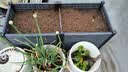 原起点50cm加大阳台种菜箱长方形塑料花盆户外蔬菜种植神器室外花箱花槽 【加厚】特深2联箱(100*40*49） 实拍图