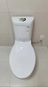 科勒（KOHLER）马桶卫生间家用皓玥五级旋风连体式坐便器缓降马桶 305mm 实拍图
