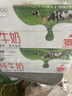 蒙牛全脂纯牛奶250ml*16盒 牛奶年货礼盒 电商定制  实拍图