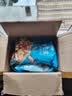比比赞（BIBIZAN）龙岩花生带壳水煮五香蒜香花生米熟多味零食品炒货休闲下酒菜小吃 白晒水煮味【大颗粒饱满酥脆】 500g*2 实拍图