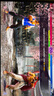 STEAM街头霸王6 Steam游戏 街霸6 PC中文正版 Street Fighter 6正版游戏国区激活码 标准版 街头霸王6 实拍图