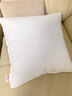 恒源祥纯棉抱枕芯 万能方形沙发靠垫内胆 45 50 55枕头芯酒店单只一对装 一对装-普通款 50cm*50cm 含枕芯 实拍图
