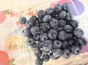 怡颗莓Driscoll's 云南蓝莓Jumbo大果18mm+ 2盒约125g/盒 新鲜水果 实拍图