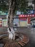 苏泊尔（SUPOR）2200W火锅暖菜板饭菜加热保温板电陶炉（圆形100CM）自动旋转 BZ100RH816D 实拍图