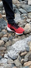耐克NIKE男飞马41 PEGASUS 41 运动跑步鞋FD2722-602红40.5 实拍图