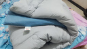 南极人双人纤维秋冬季被子被芯 加厚冬被10斤 200*230cm 蓝灰 实拍图