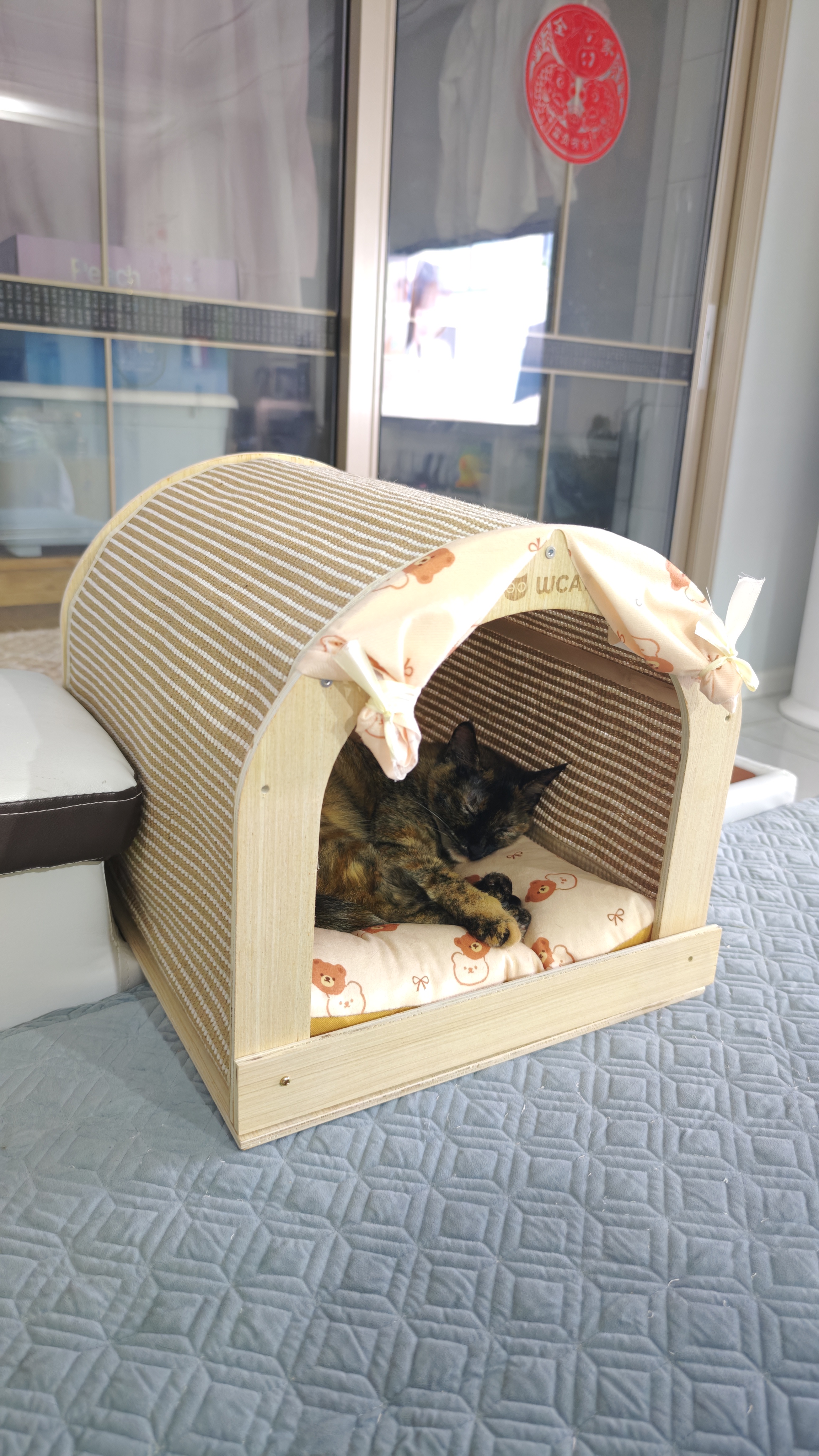 LEGENDSANDY【带防伪】蓝氏猎鸟乳鸽1.5kg全价猫粮营养长肉发腮成幼猫荒猎兔 【带防伪】猎兔1.5kg*3袋 实拍图