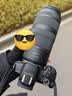 佳能（Canon）【官方旗舰】RF100-400mm F5.6-8 IS USM 轻巧便携、覆盖400mm焦距的超远摄变焦镜头 实拍图