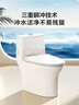 恒洁（HEGII）京东联名马桶S3 家用虹吸马桶小户型坐便器DCF0300PT-400 实拍图