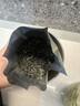 乐品乐茶茶叶特级毛尖绿茶明前春茶嫩芽新茶自己喝礼盒装250g送长辈 实拍图