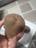 【真便宜】云南红皮土豆高原黄心土豆马铃薯红皮黄心洋芋减脂蔬菜 净重3斤大果 【单果150g+】 实拍图