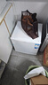 美的（Midea）45L单门小冰箱白色迷你租房宿舍办公室家用单温冷藏小型电冰箱美妆可用节能运行BC-45M 实拍图