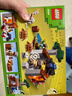 乐高（LEGO）积木我的世界21269 犰狳矿洞男孩女孩儿童玩具生日礼物装饰摆件 实拍图