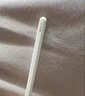 Apple/苹果 Pencil(USB-C) 磁吸触控笔手写笔苹果笔电容笔ipad笔 适用iPad 11/mini/Pro/Air 实拍图
