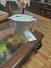 碧然德（BRITA）过滤净水器 家用滤水壶 Kalea 晨汐系列XL 3.5L（灰）+专家版滤芯2枚 实拍图