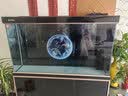 森森（SUNSUN）鱼缸水族箱含鱼缸过滤器灯大型金鱼缸 黑色 时尚款1.2米长34.6cm宽底滤 带棉+滤材 实拍图