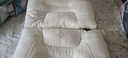 J.Sir枕头护颈枕睡眠颈椎深度睡眠专用枕芯乳胶枕成人大学生宿舍记忆枕 实拍图